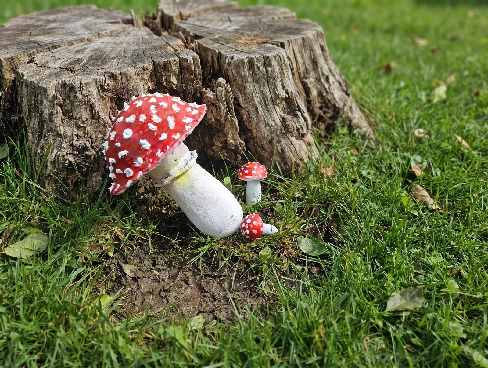 Three finished red-and-white cement mushrooms arranged in grass beside a weathered tree stump