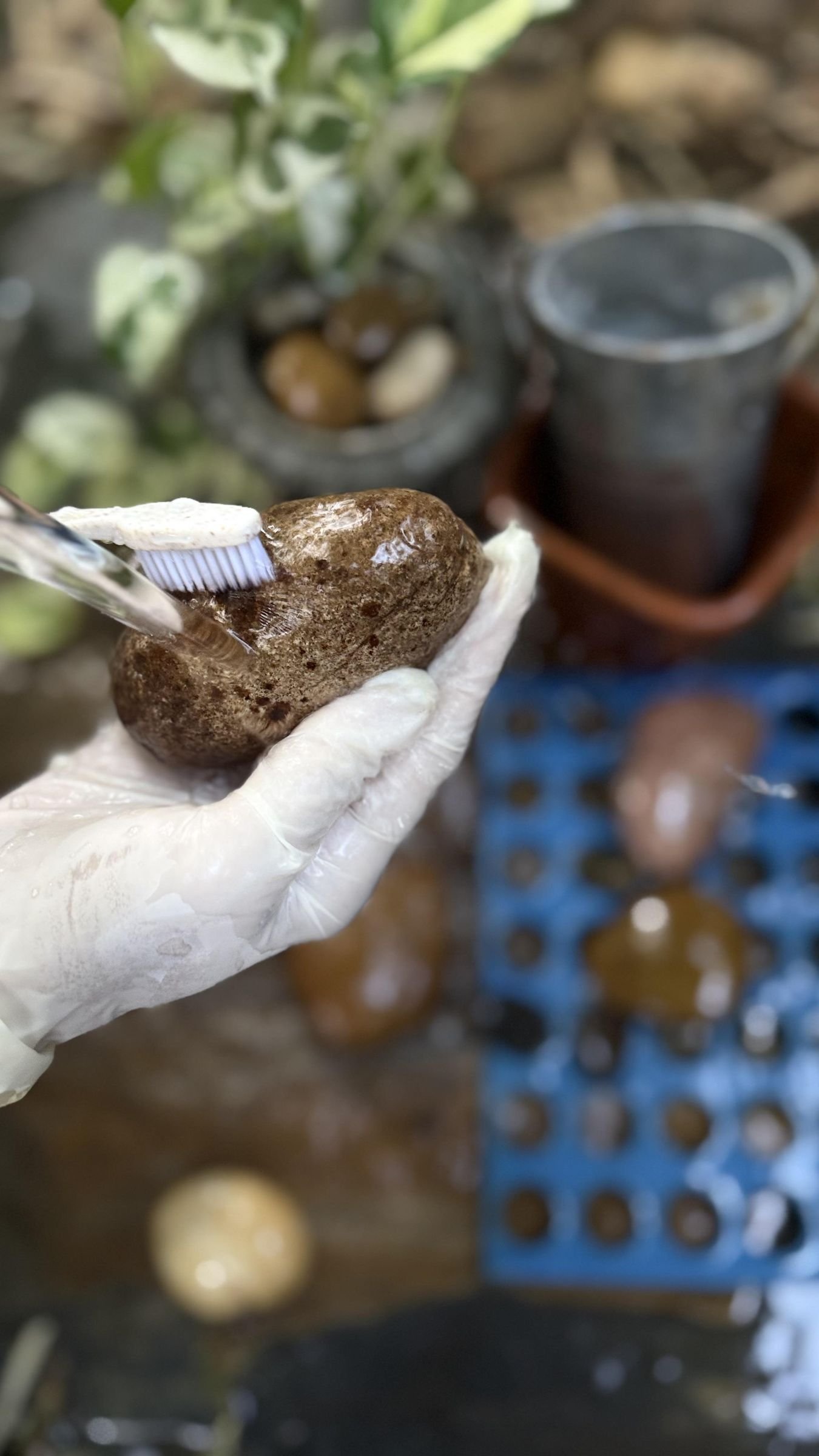 A gloved hand scrubbing a wet stone with a small brush
