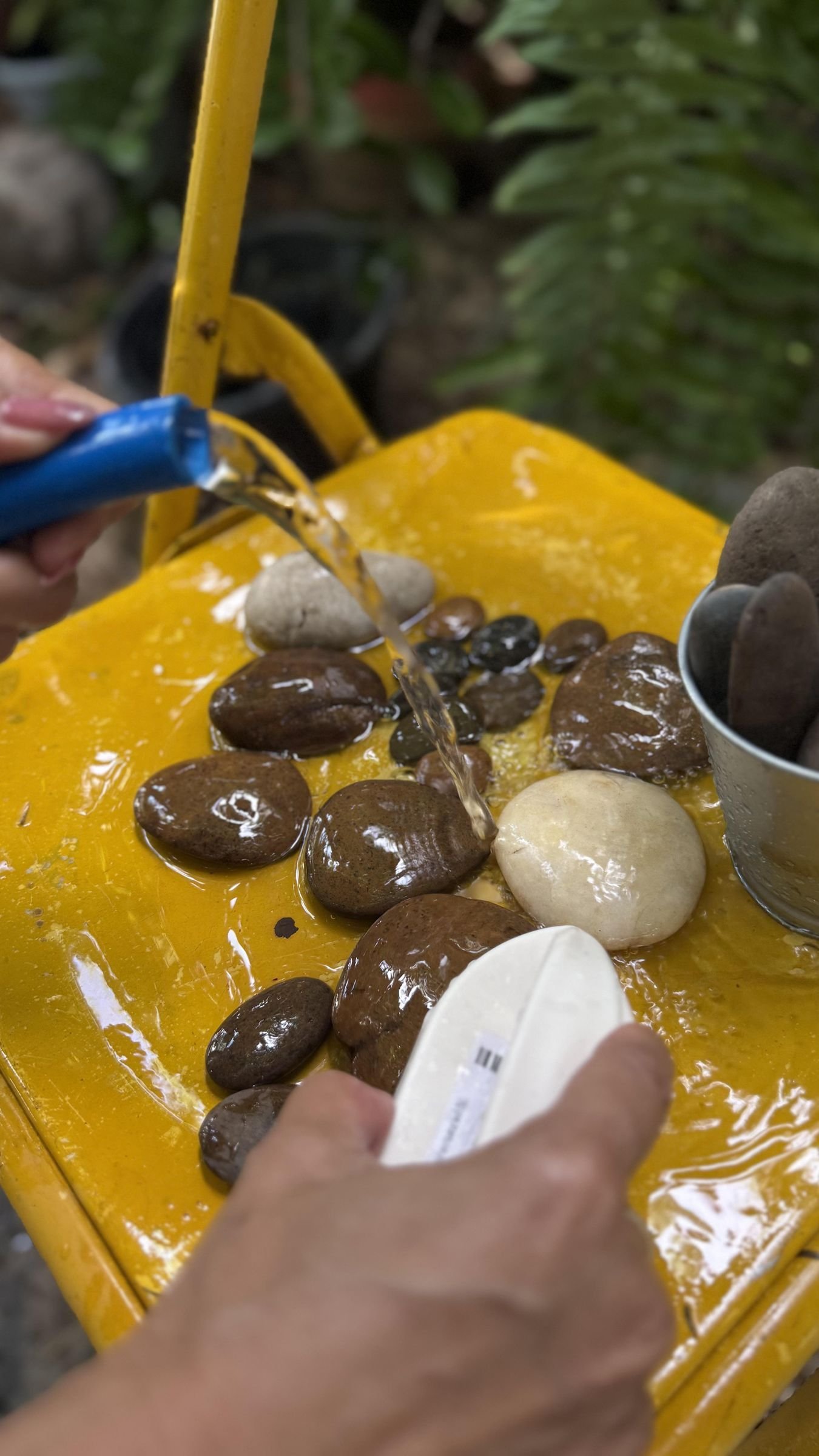 Smooth stones being washed with a hose on a yellow tray