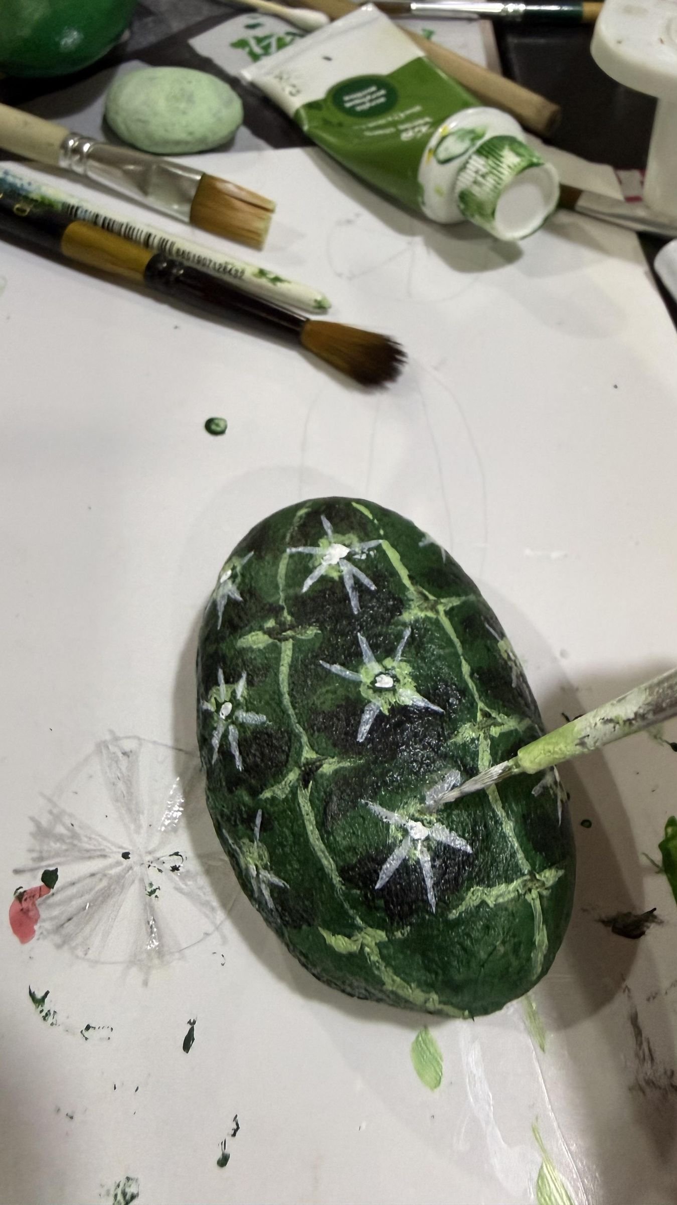 A green stone decorated with pale ribs and white star-shaped cactus spines