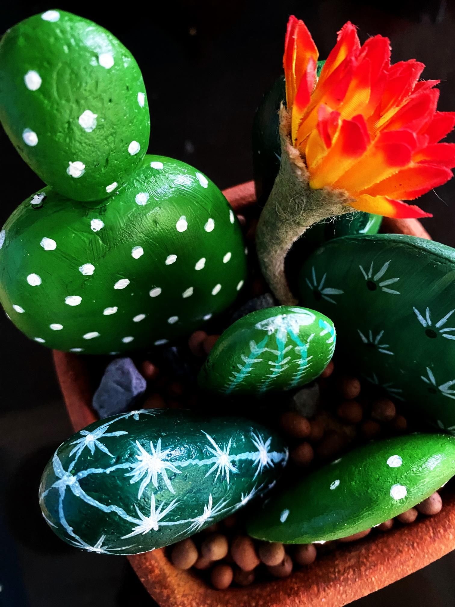 Close-up of painted cactus stones showing dots, white spines, and a bright flower