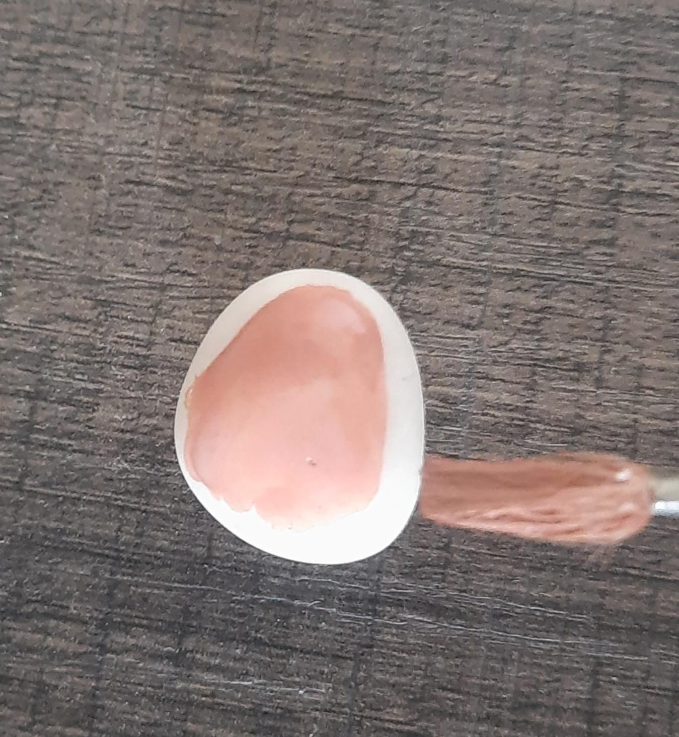 A large pebble being coated with brown paint