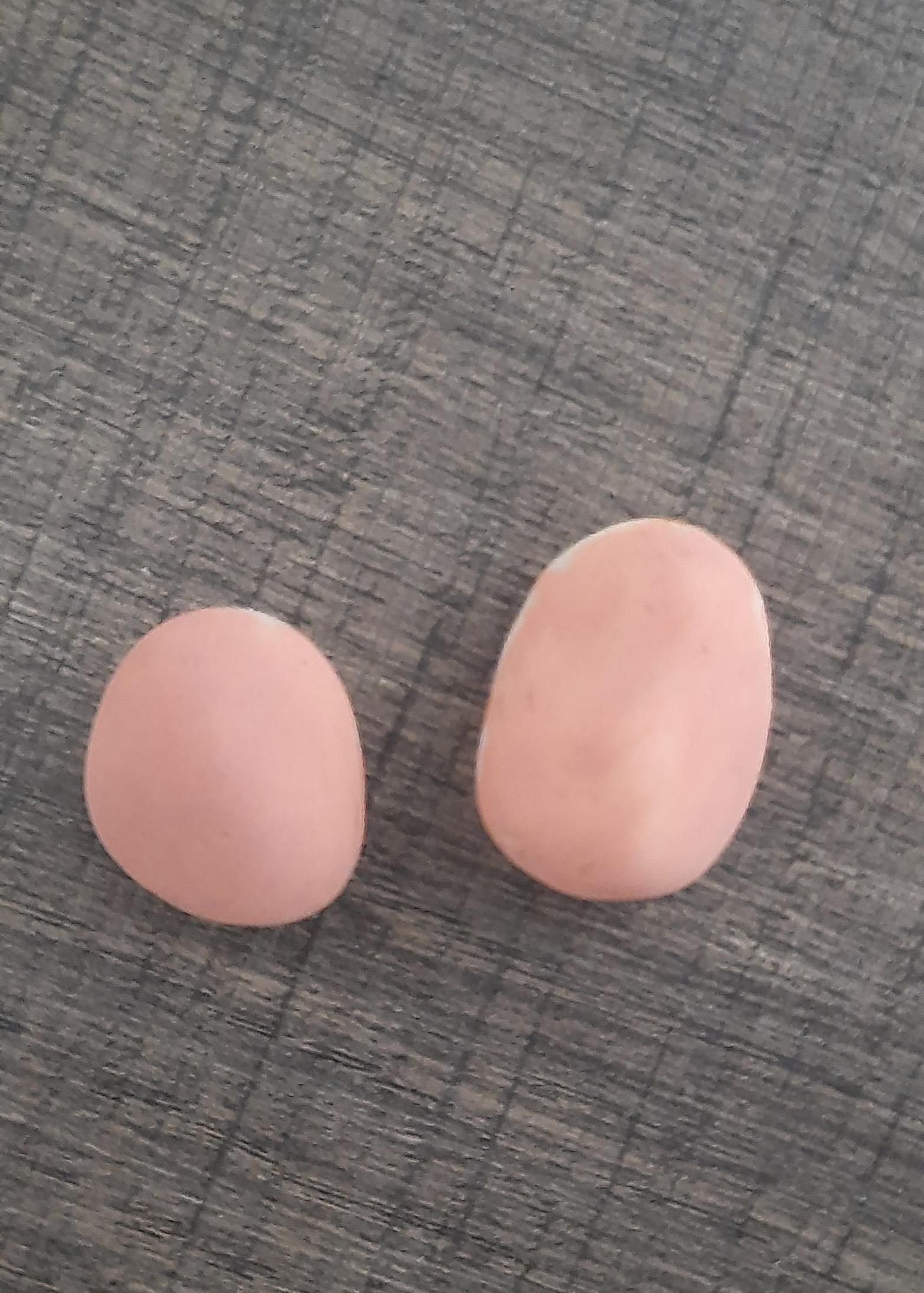 Two larger pebbles resting while their brown base coats dry