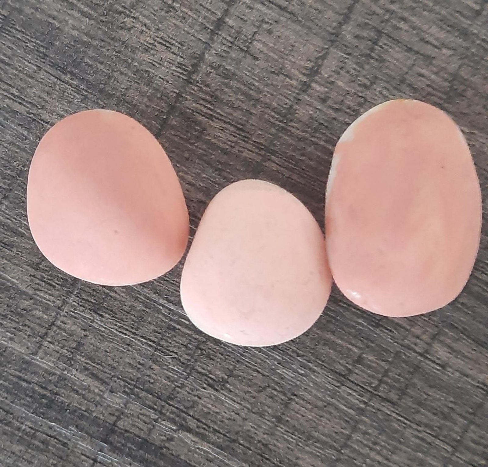 Two darker parent pebbles beside a lighter chick pebble