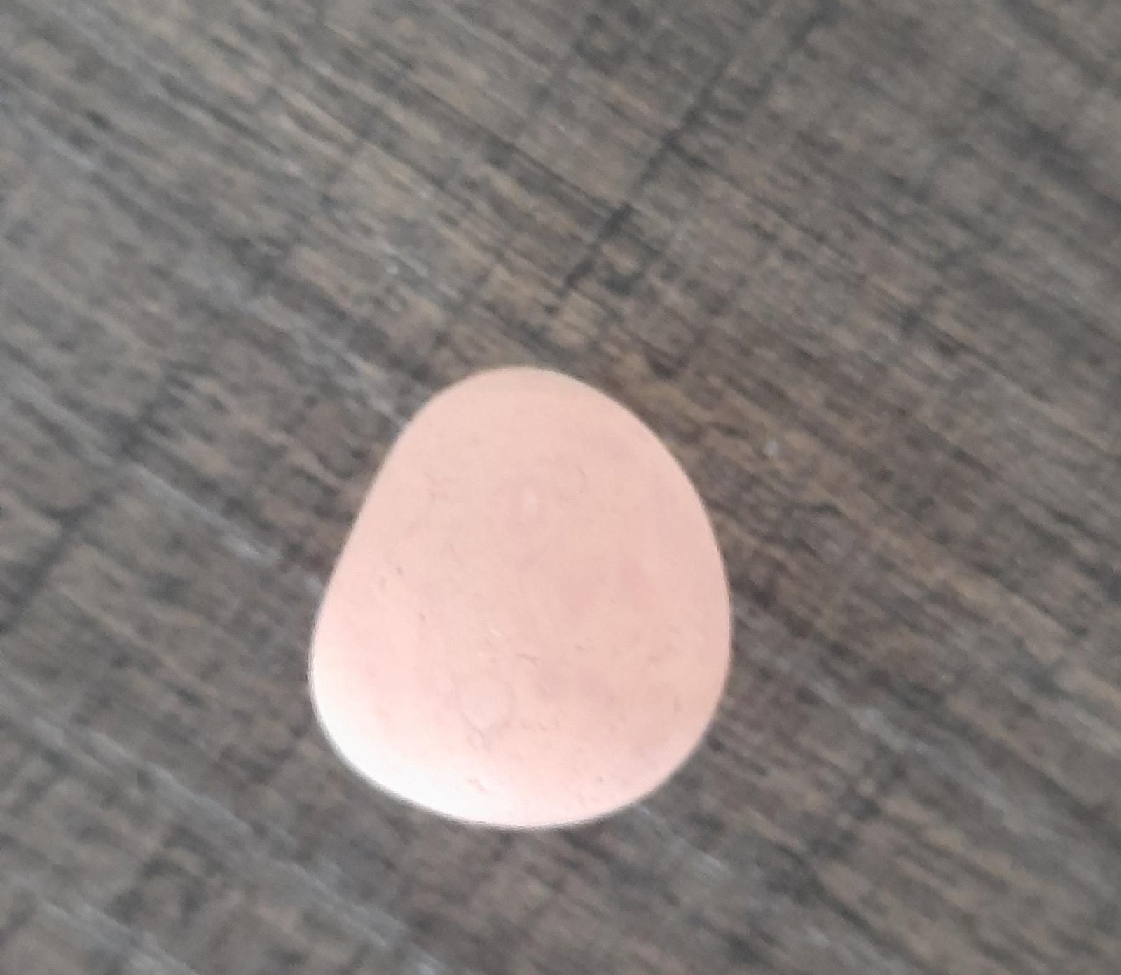 The small chick pebble resting while its pale base coat dries