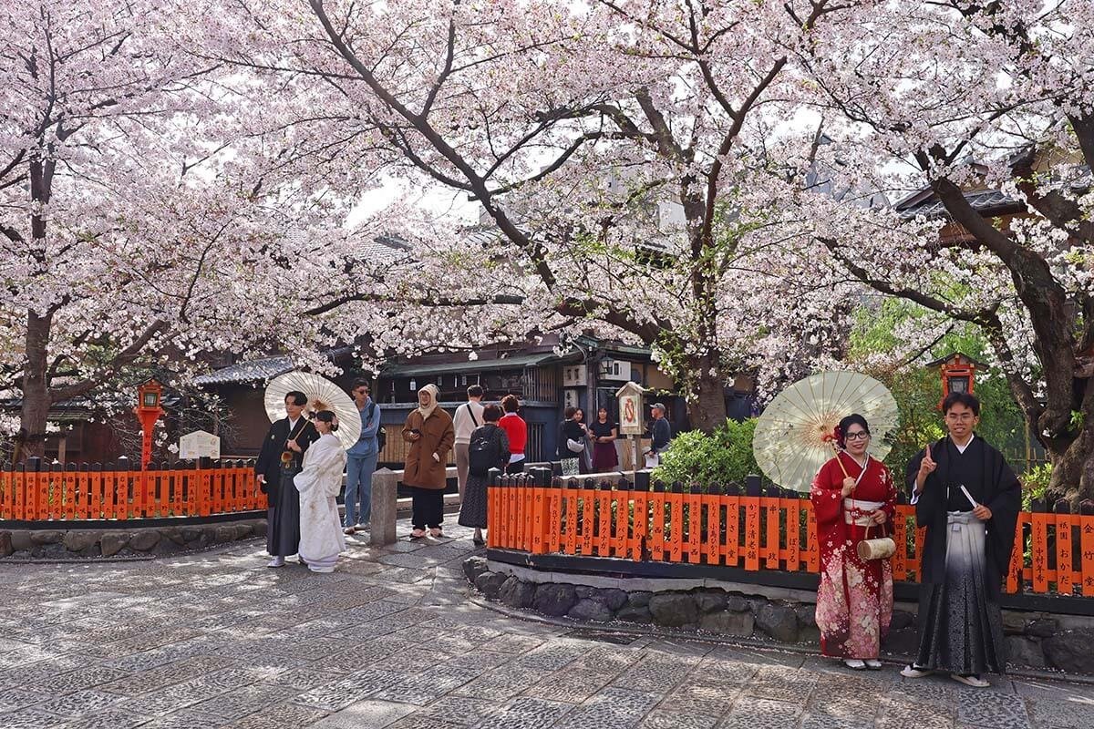 Japanese people in traditional kimonos at Tatsumi Bridge, Gion, Kyoto