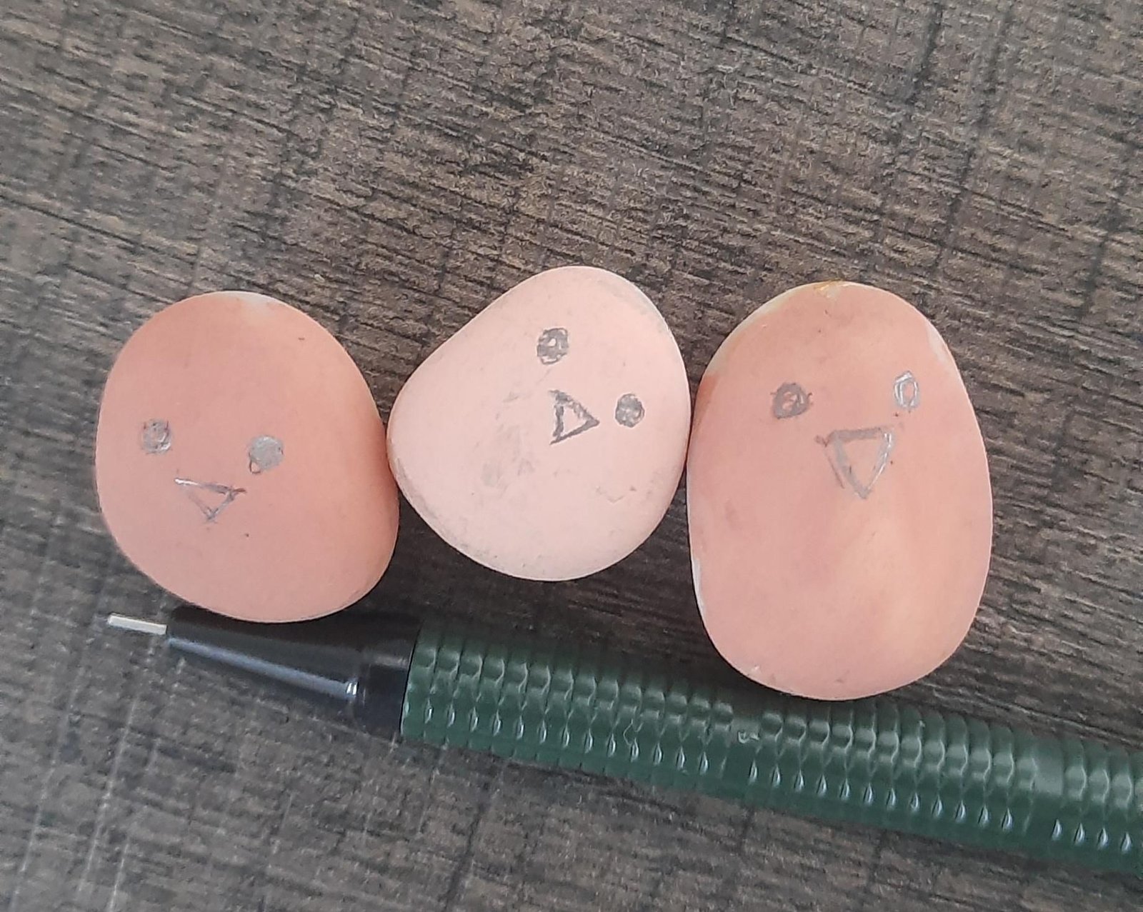Pencil outlines for circular eyes and triangular beaks on three painted pebbles