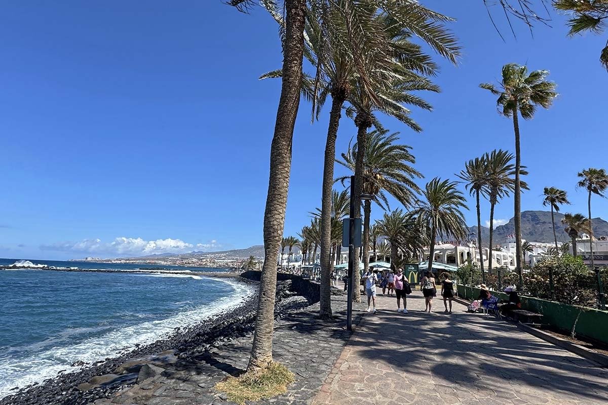 Palm-lined beachfront promenade at Playa de las Américas