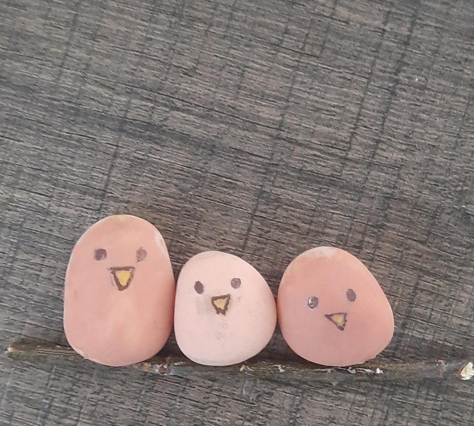 Three painted pebble birds attached in a row on a twig